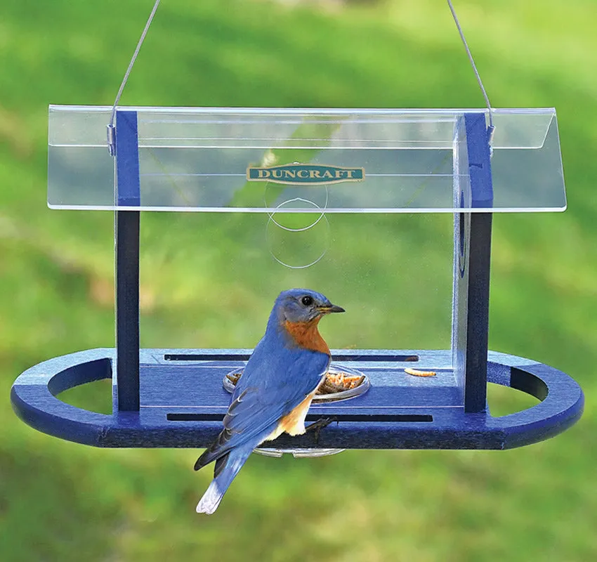Duncraft Bluebird Cafe Feeder