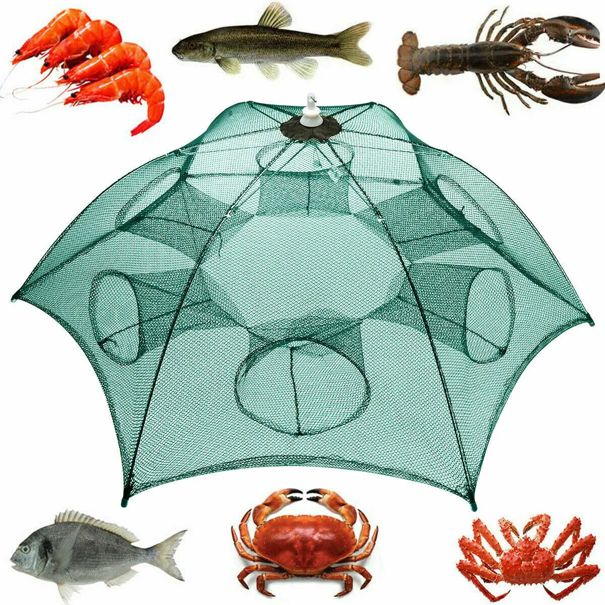 Magic Fishing Trap with Bait Pocket