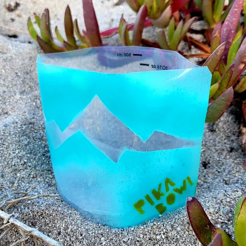 Pika Bowl by HYKLYF