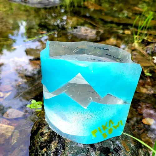 Pika Bowl by HYKLYF